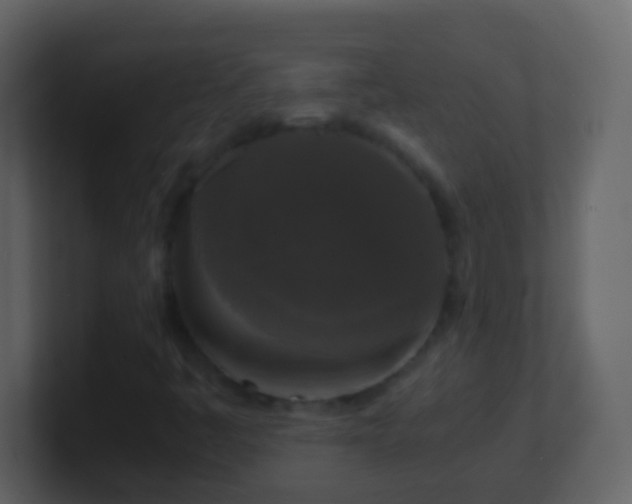 X0000101411445200807071245