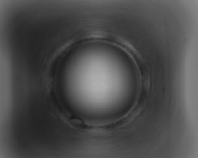 X0000101411448200807071245