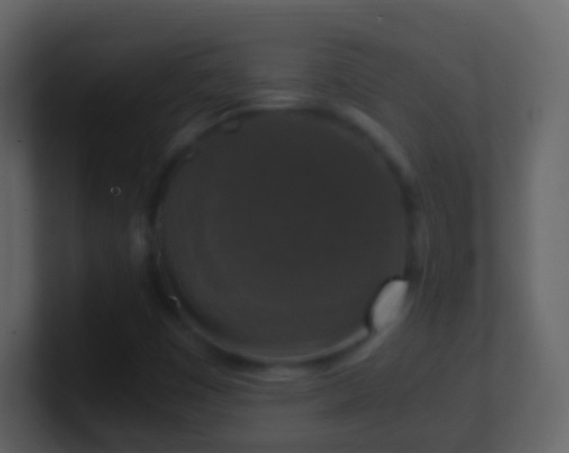 X0000101411449200807071245