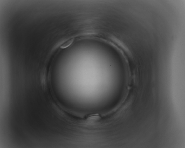 X0000101411452200807071245