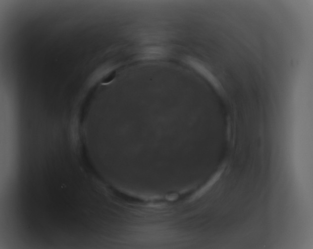 X0000101411453200807071245