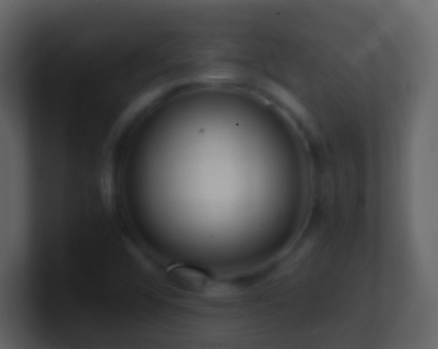 X0000101411456200807071245