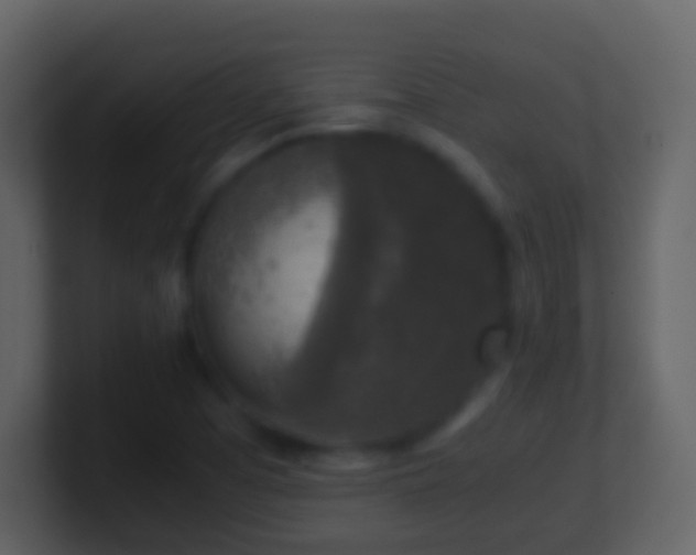 X0000101411457200807071245