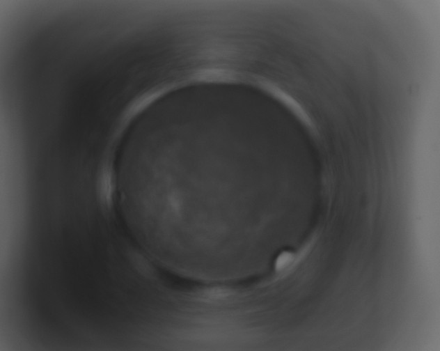 X0000101411461200807071244