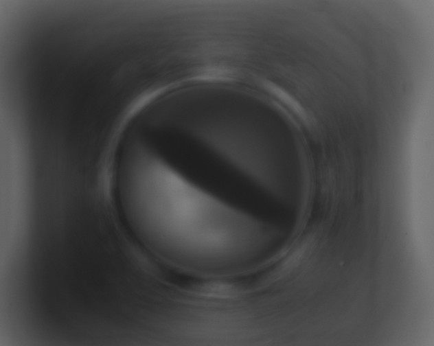 X0000101411463200807071244