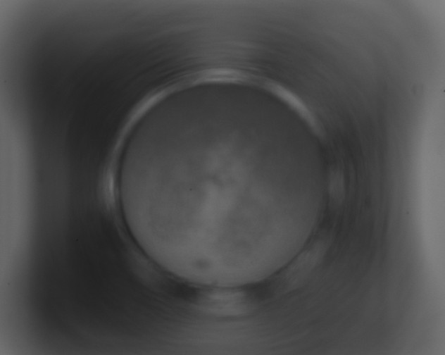 X0000101411466200807071244