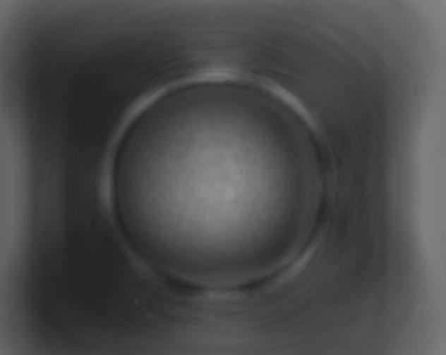 X0000101411469200807071244