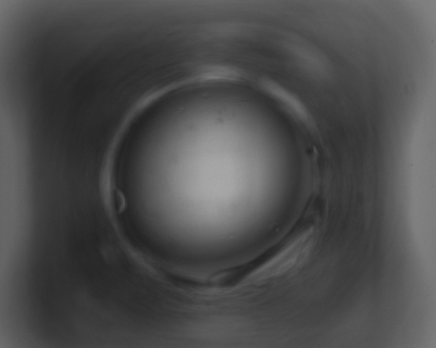 X0000101411471200807071244