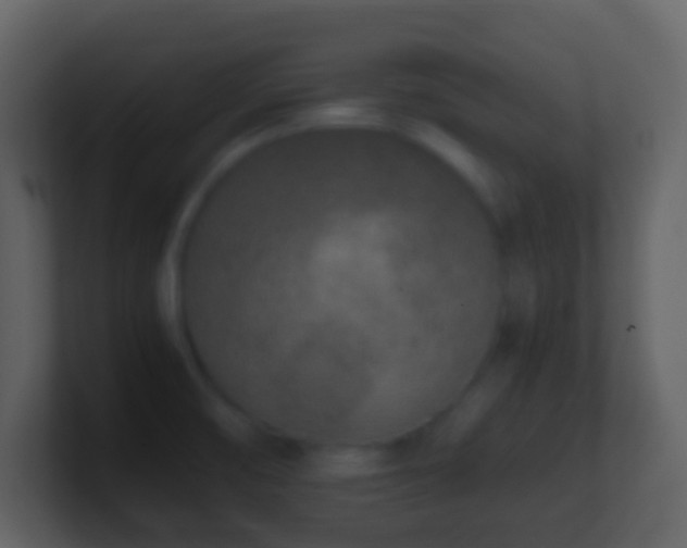 X0000101411474200807071244