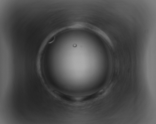 X0000101411480200807071244