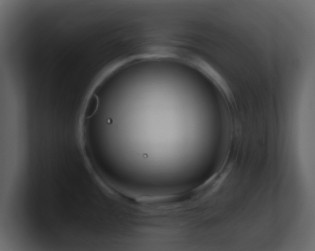 X0000101411485200807071244