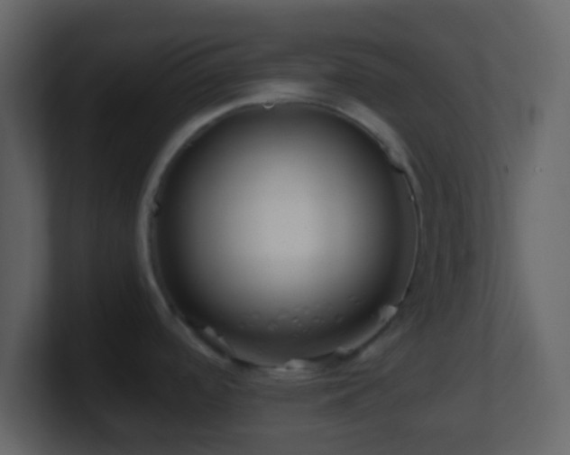 X0000101411488200807071244