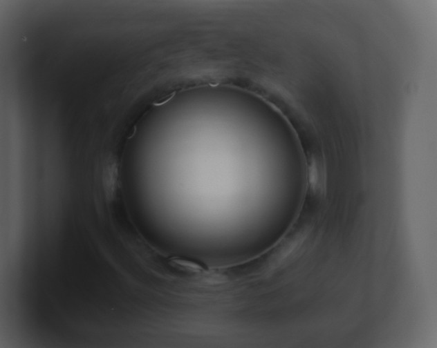 X0000101411492200807071244