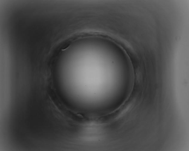 X0000101411494200807071244