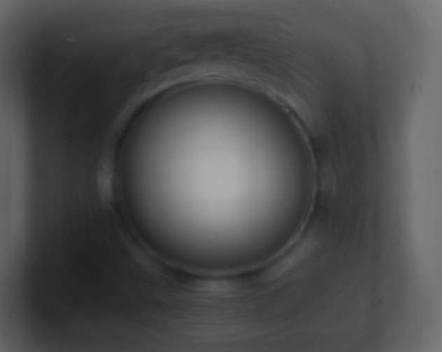 X0000101411499200807071244