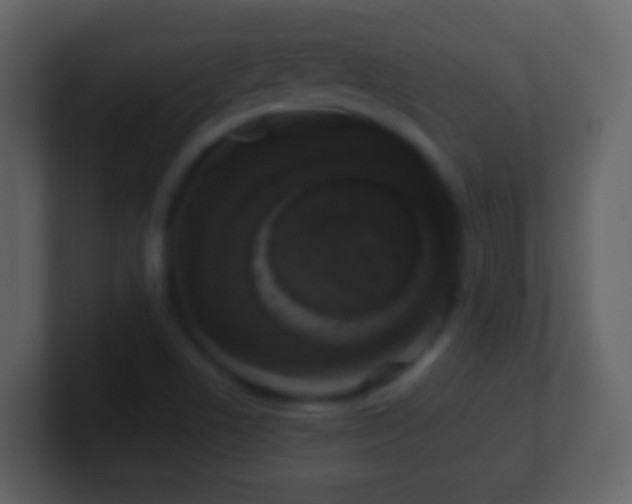 X0000101411506200807071244