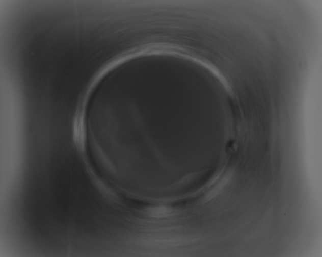 X0000101411515200807071244