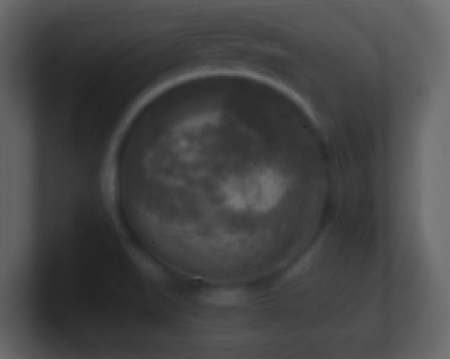 X0000101411519200807071244