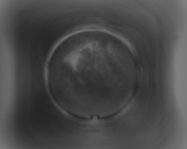 X0000101411527200807071244