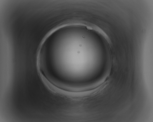 X0000101411528200807071244