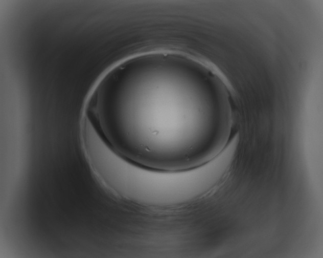 X0000101411532200807071244
