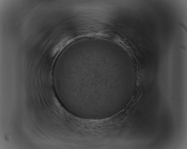 X0000101410002200807141141