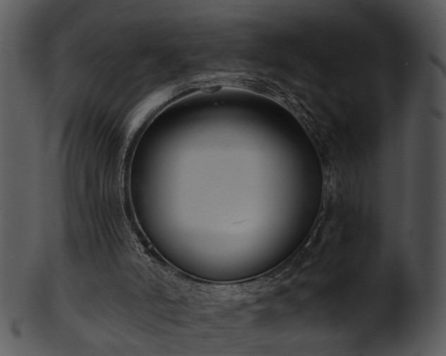 X0000101410006200807141141