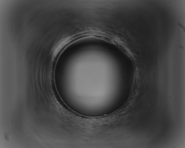X0000101410007200807141141