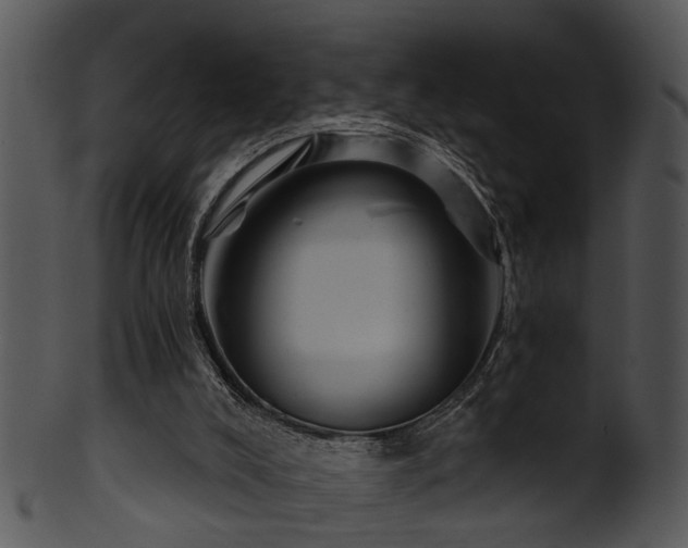 X0000101410008200807141141