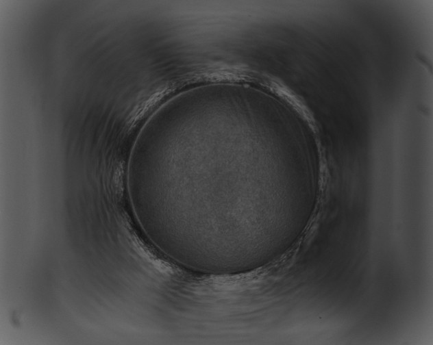 X0000101410009200807141141