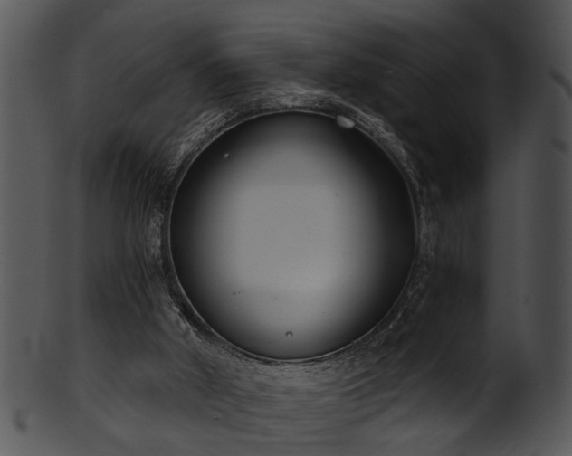 X0000101410010200807141141