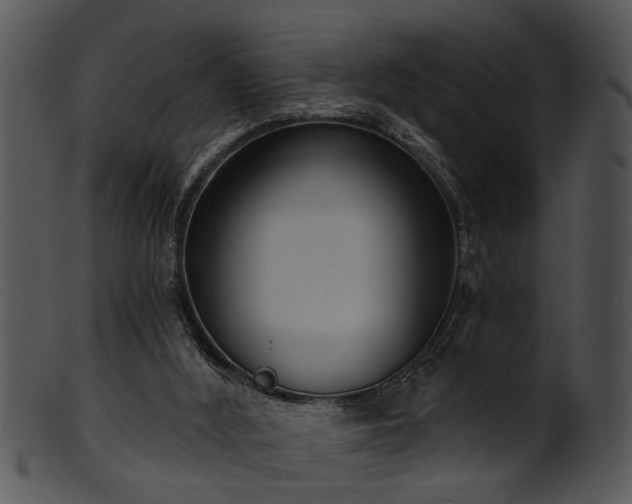 X0000101410012200807141141