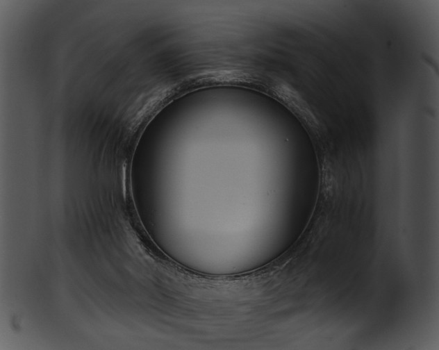 X0000101410014200807141141