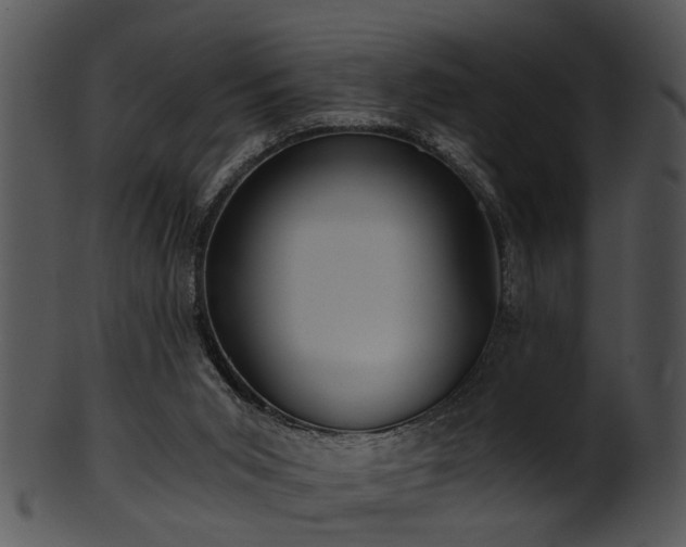 X0000101410015200807141141