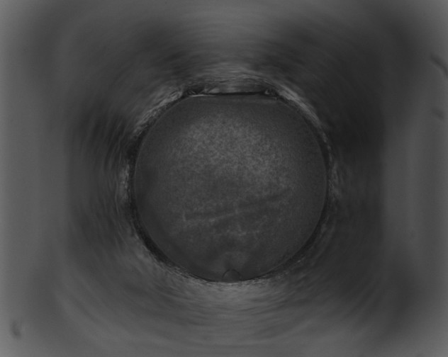 X0000101410018200807141141