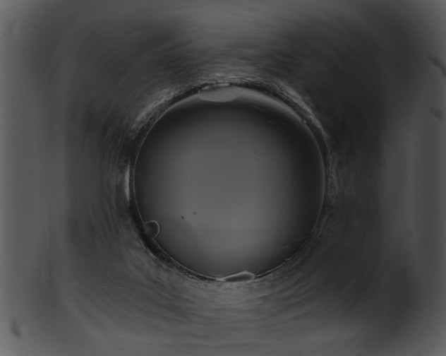X0000101410019200807141141