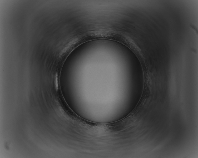 X0000101410020200807141141