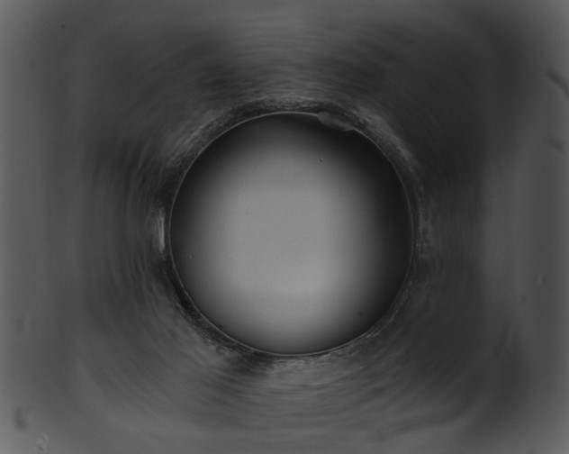 X0000101410021200807141141
