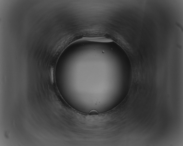 X0000101410022200807141141
