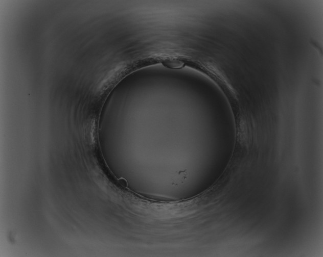 X0000101410023200807141141