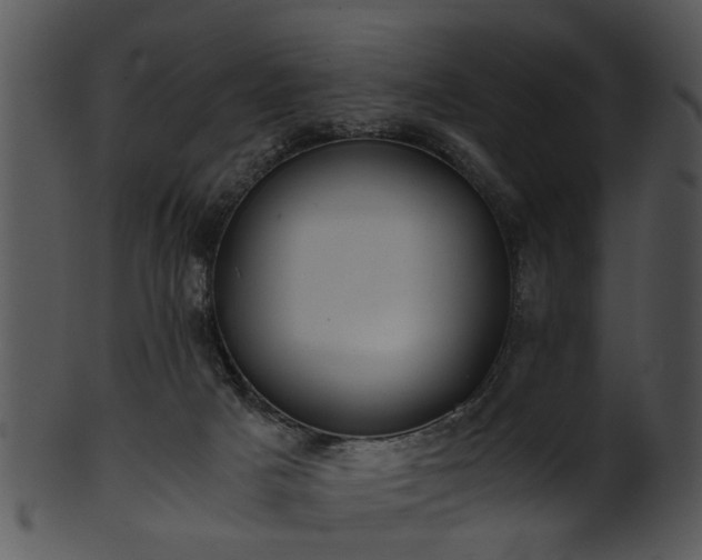 X0000101410025200807141141