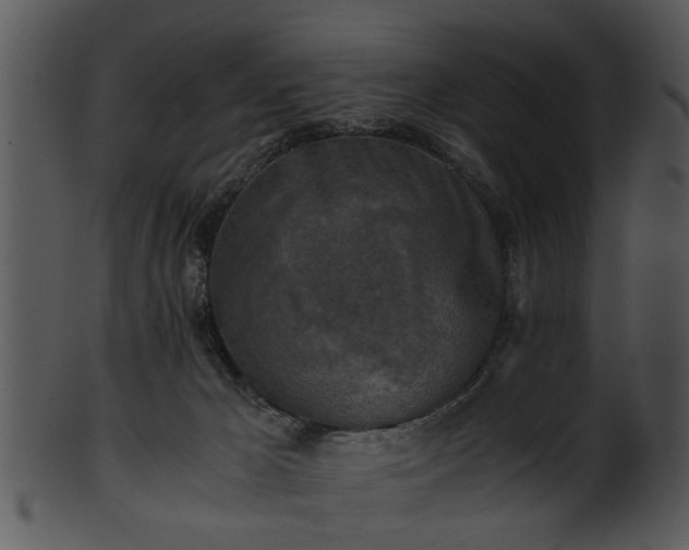 X0000101410029200807141141