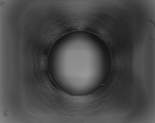 X0000101410030200807141141