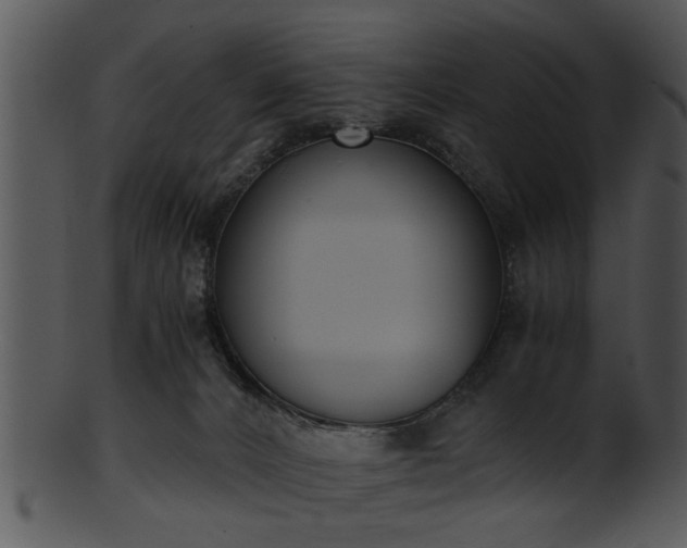 X0000101410032200807141141