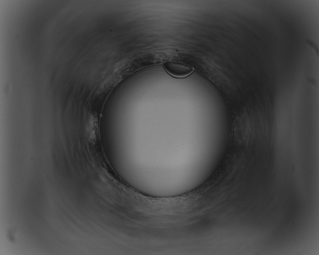 X0000101410038200807141141