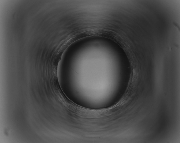 X0000101410048200807141141
