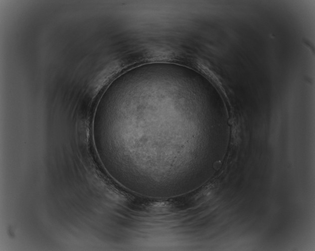 X0000101410059200807141140