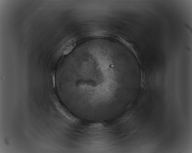 X0000101410061200807141140