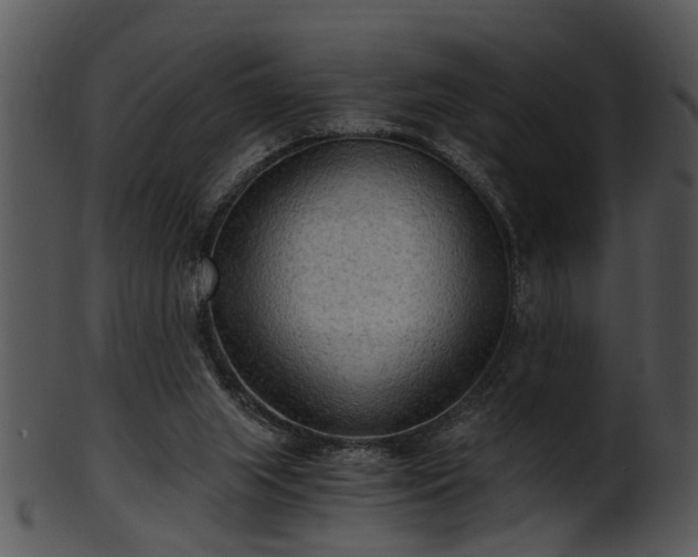 X0000101410063200807141140