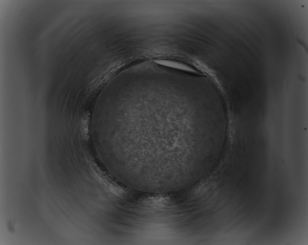 X0000101410065200807141140